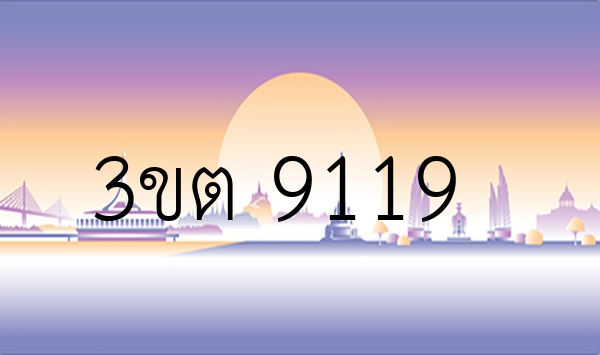 3ขต 9119